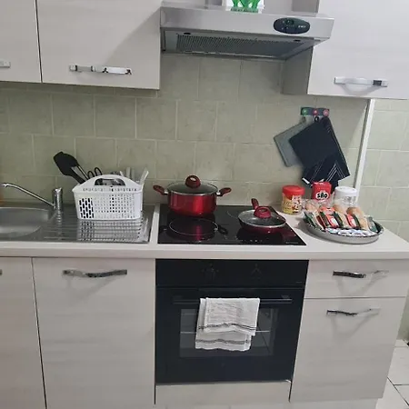 Vicino Metro C 公寓 *