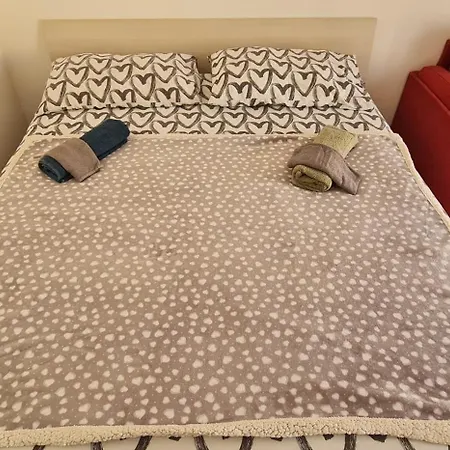 Vicino Metro C 公寓 *